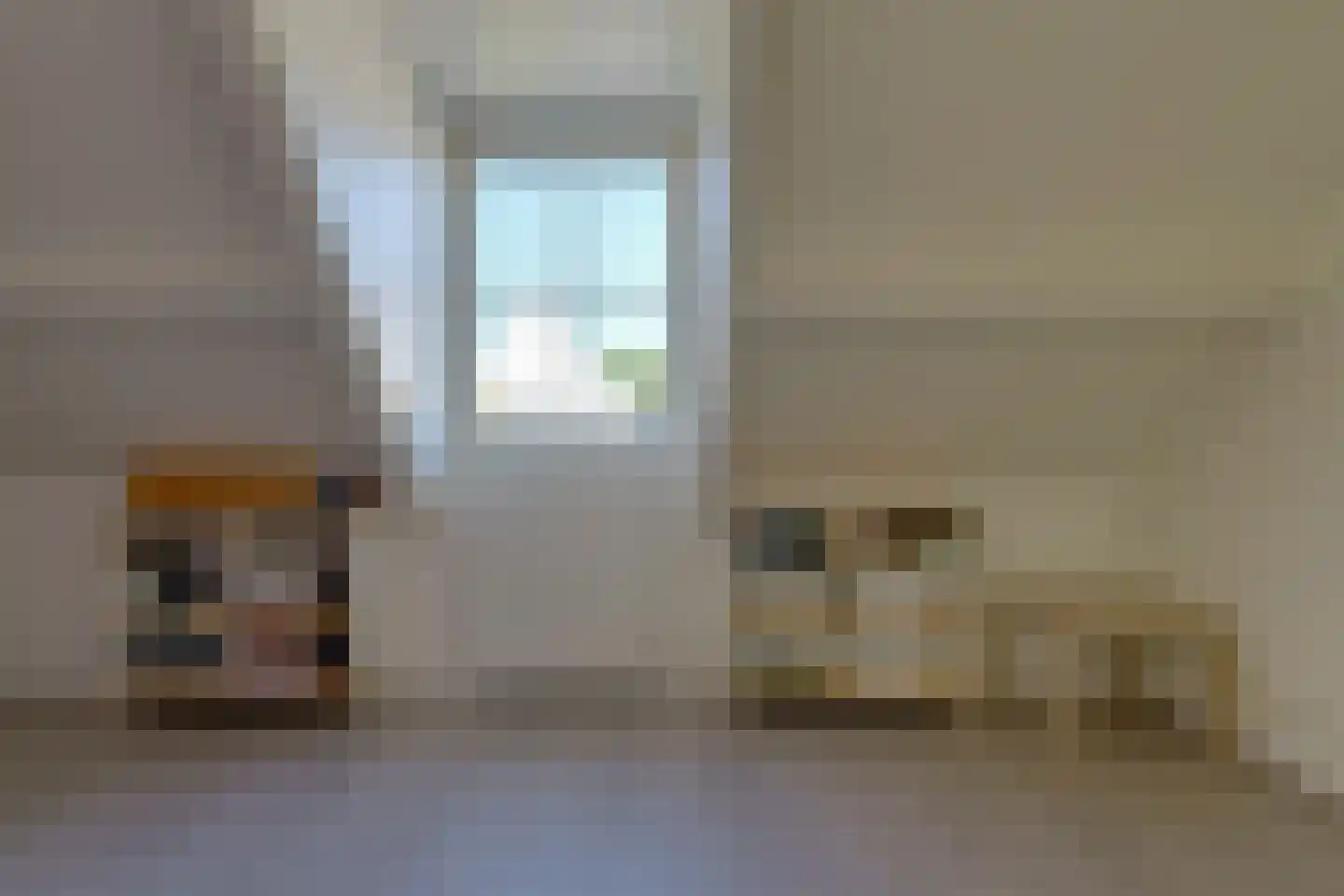 Iekendonksevoort 6 Helmond thumbnail 33