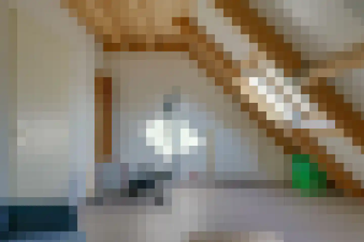 Iekendonksevoort 6 Helmond thumbnail 38