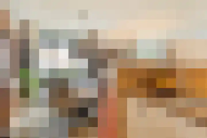 Iekink 1 Hengelo (Gld) thumbnail 18