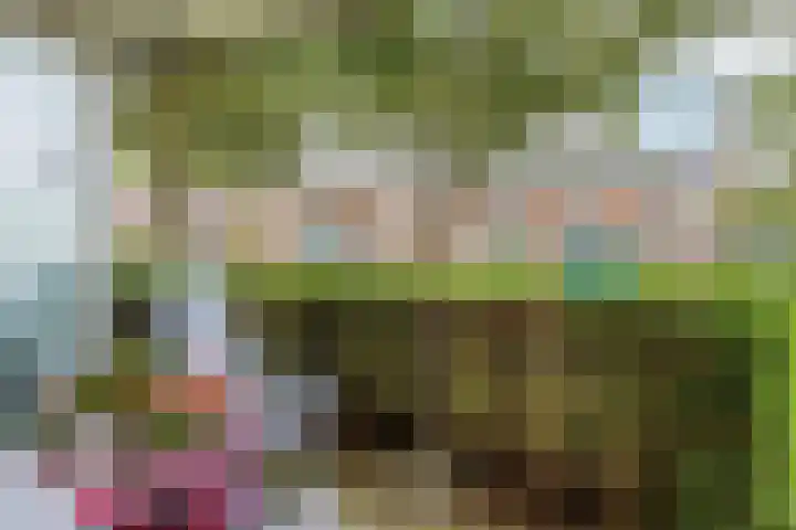 Iekink 1 Hengelo (Gld) thumbnail 25