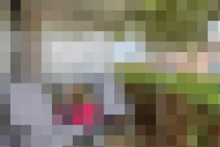Iekink 1 Hengelo (Gld) thumbnail 26