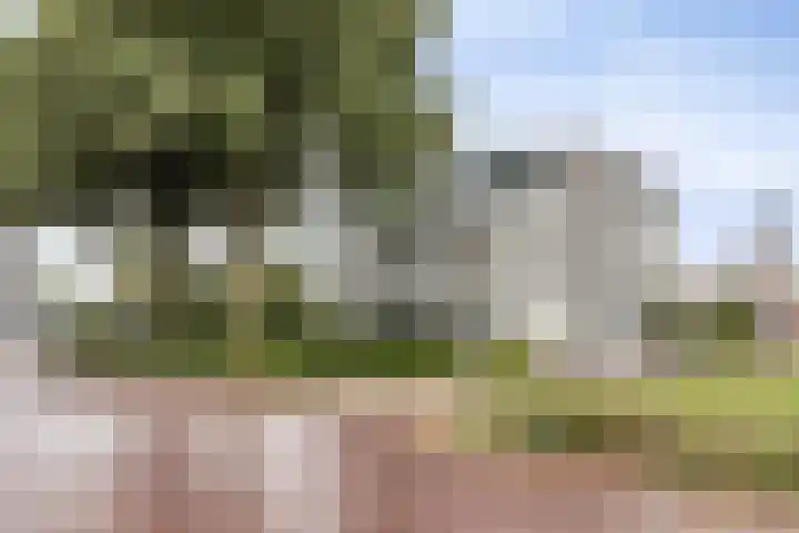 Iekink 1 Hengelo (Gld) thumbnail 31