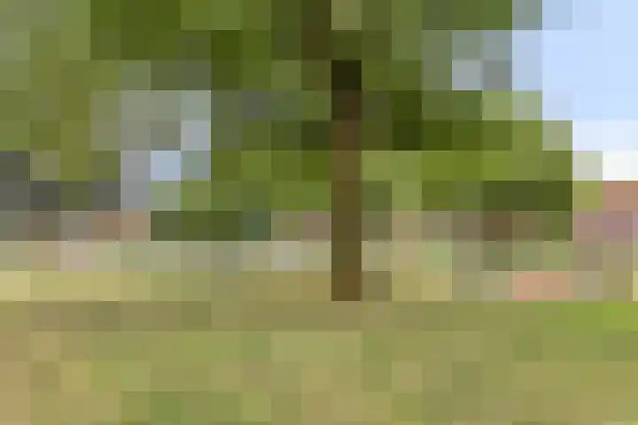 Iekink 1 Hengelo (Gld) thumbnail 32