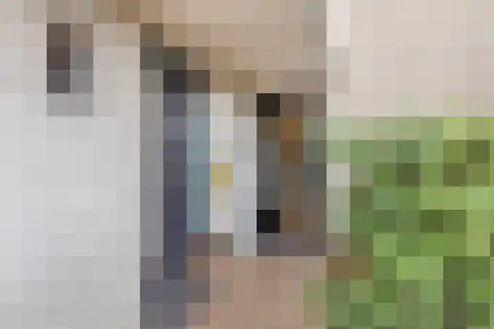 Iekink 1 Hengelo (Gld) thumbnail 7