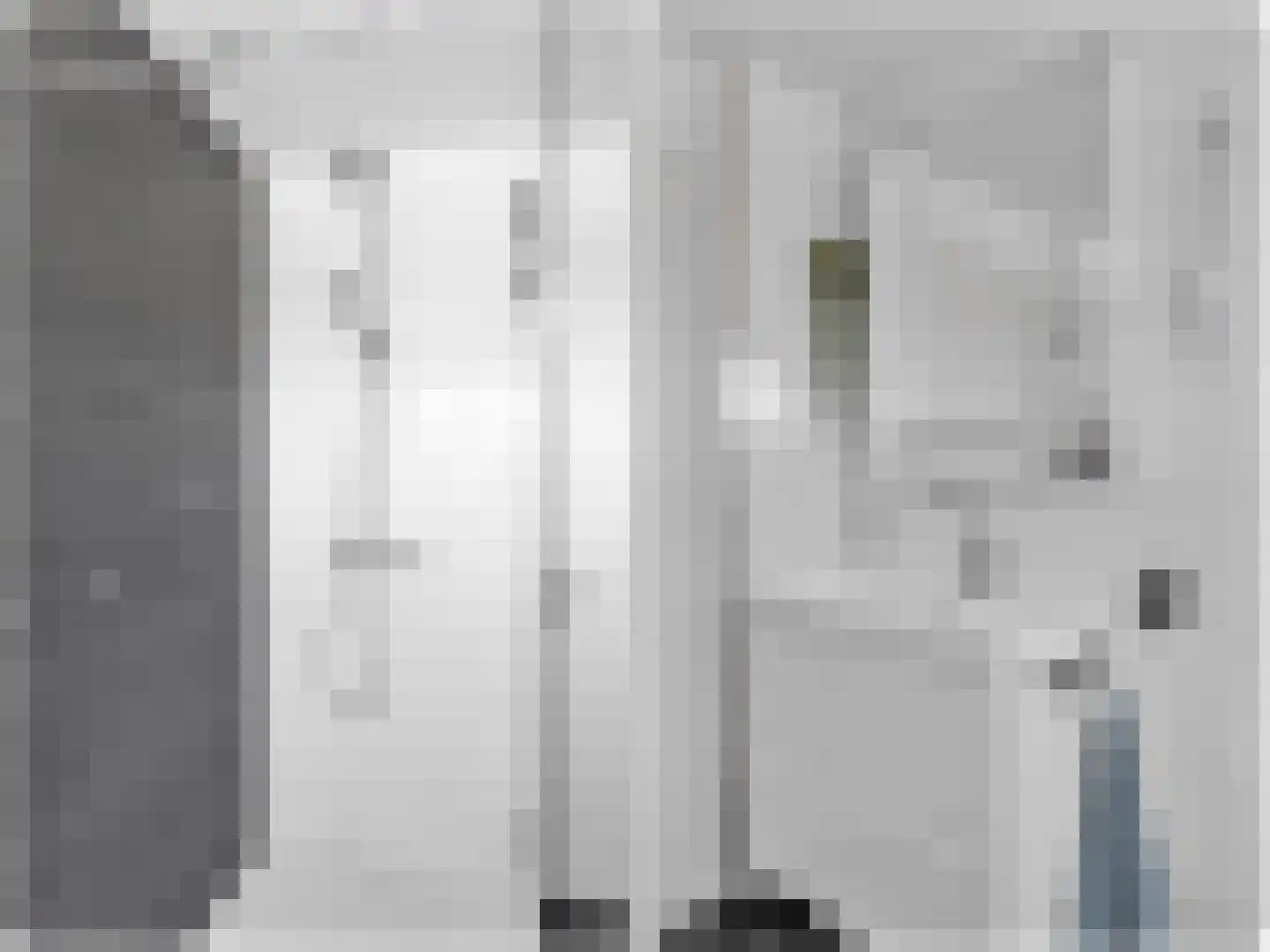 Ielaak 7 Workum thumbnail 34