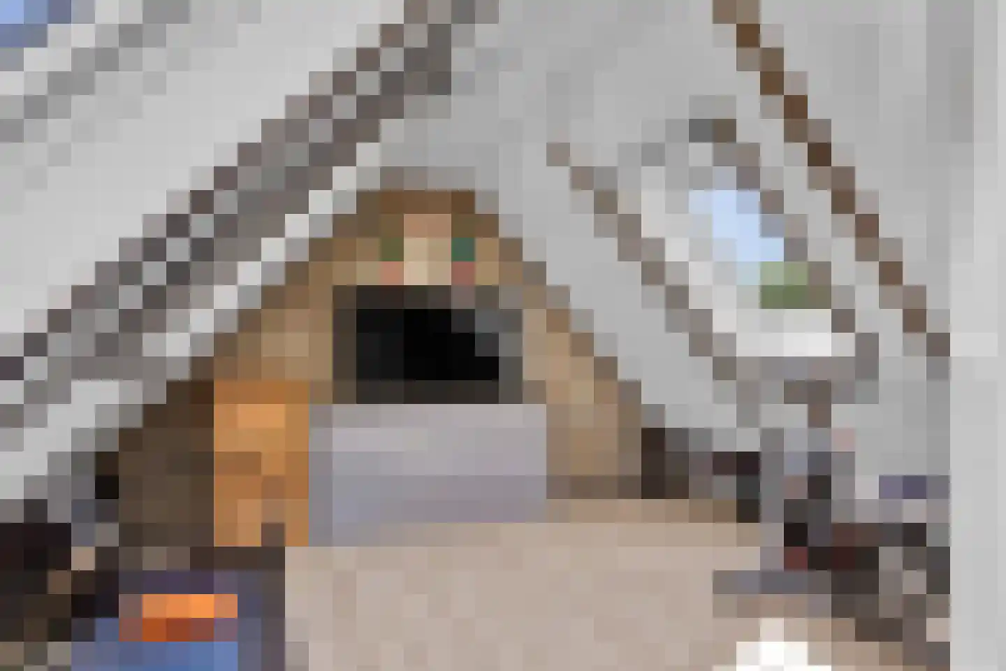 Ielaak 7 Workum thumbnail 35