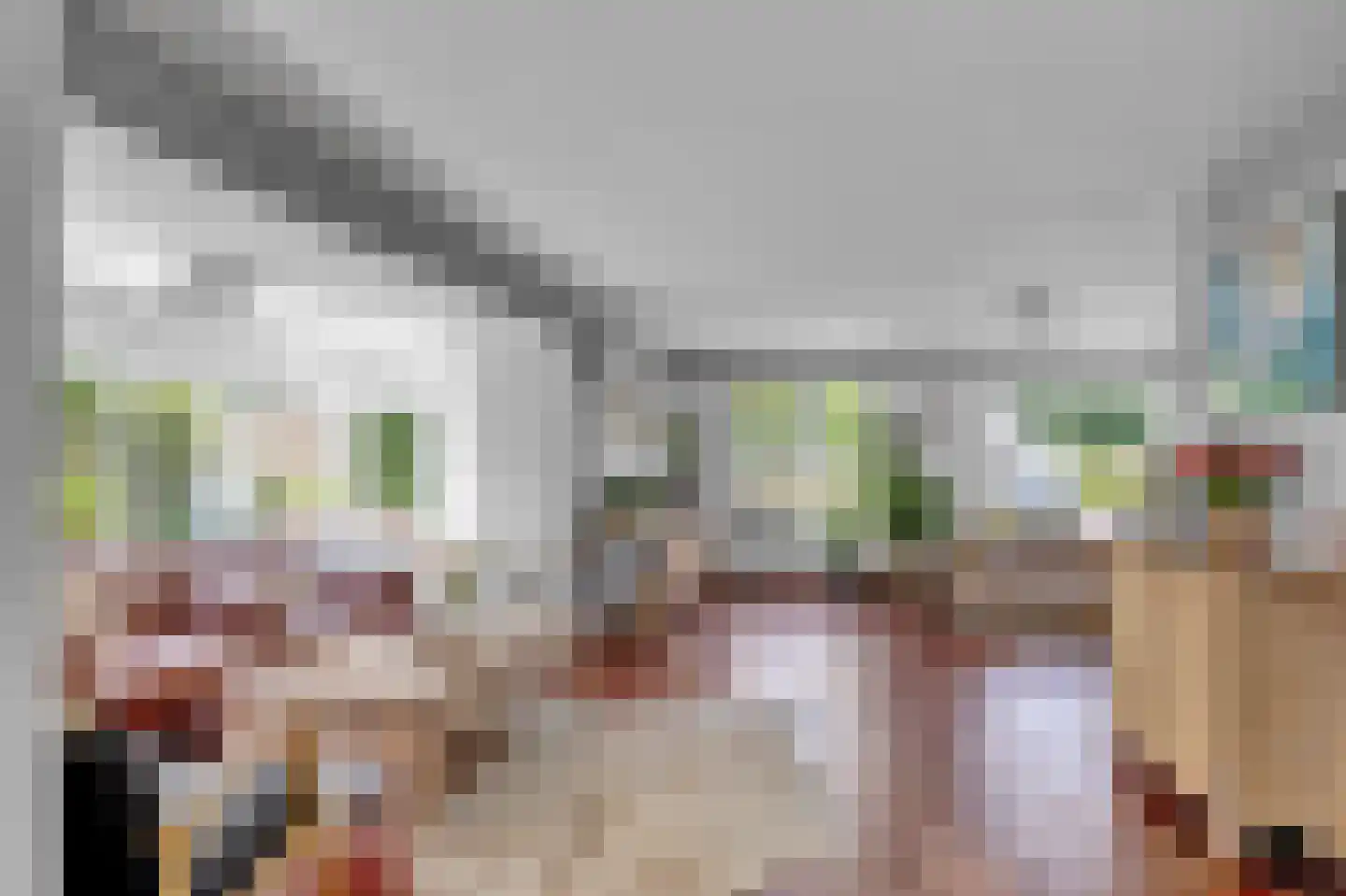 Ielaak 7 Workum thumbnail 5