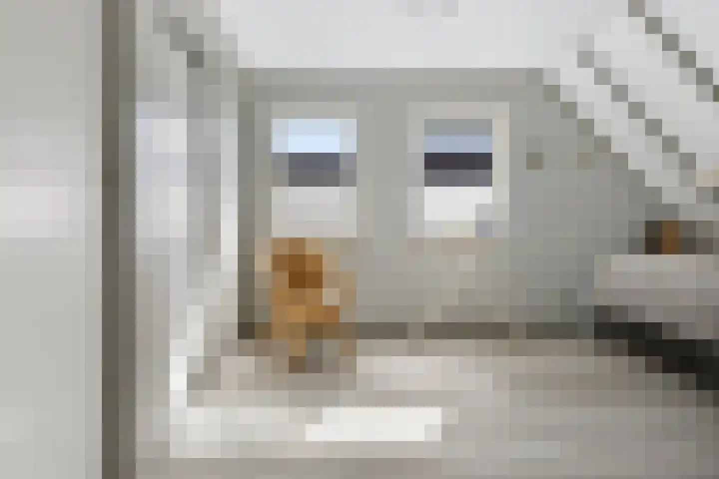 Iemenkorf 29 Emmen thumbnail 32