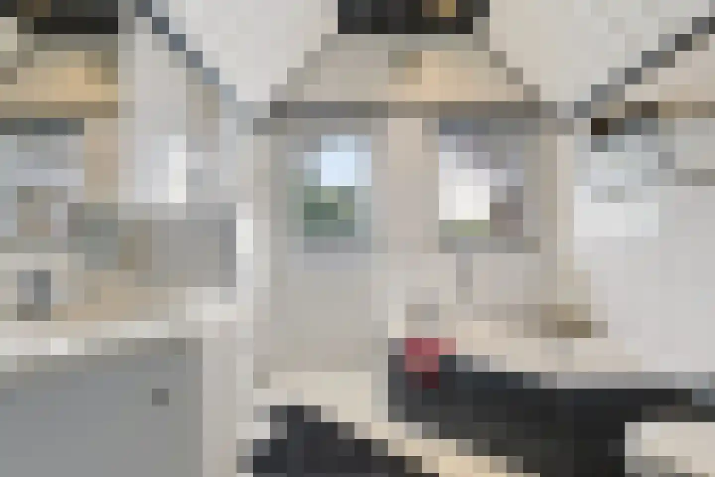 Iemenkorf 29 Emmen thumbnail 34