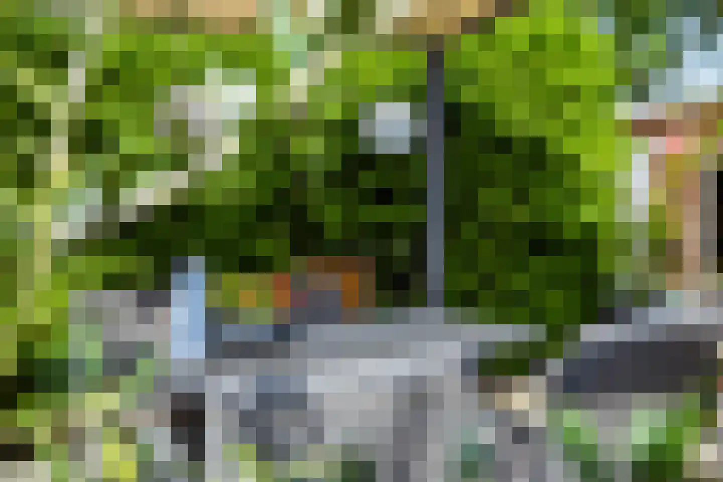 Iemenkorf 29 Emmen thumbnail 38