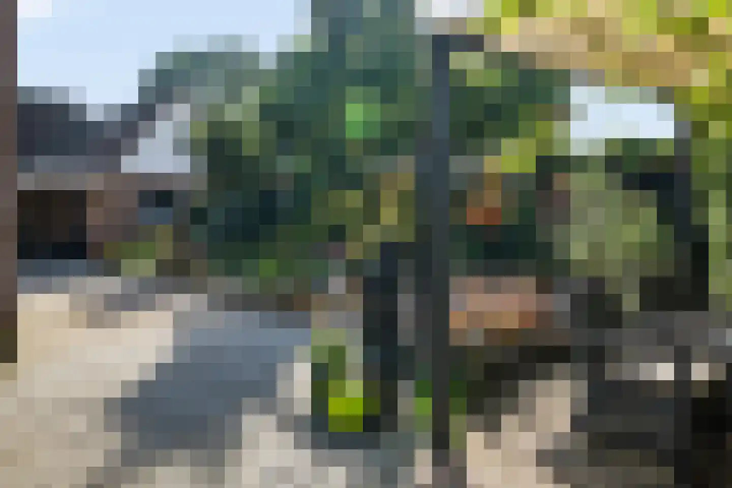 Iemenkorf 29 Emmen thumbnail 41