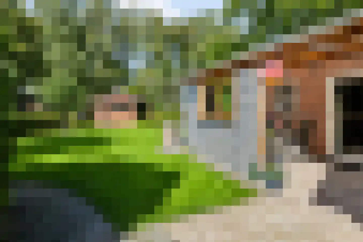 Iemenkorf 29 Emmen thumbnail 42
