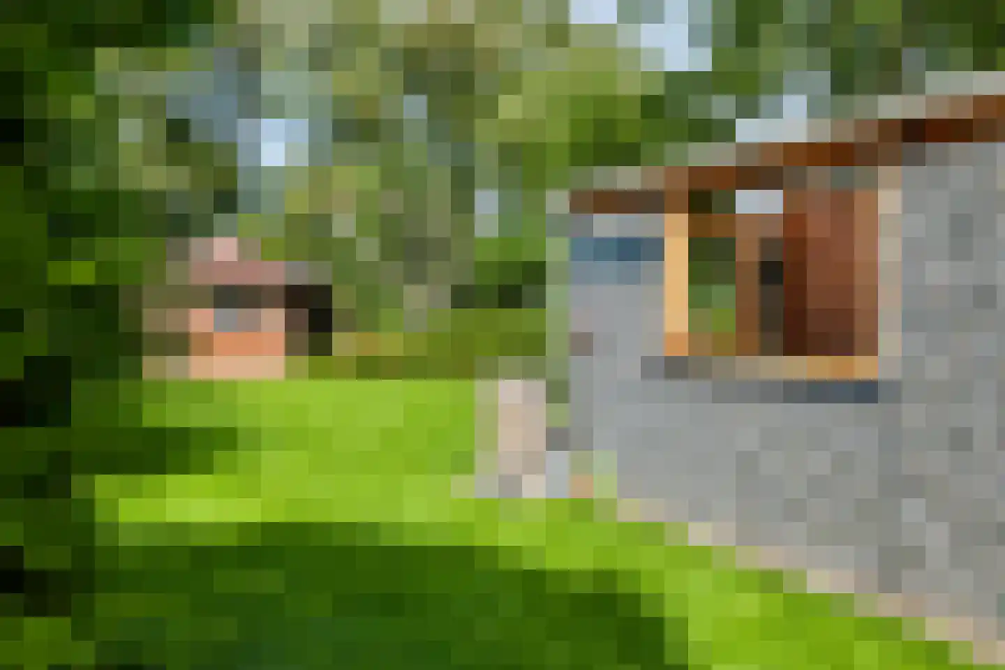 Iemenkorf 29 Emmen thumbnail 43