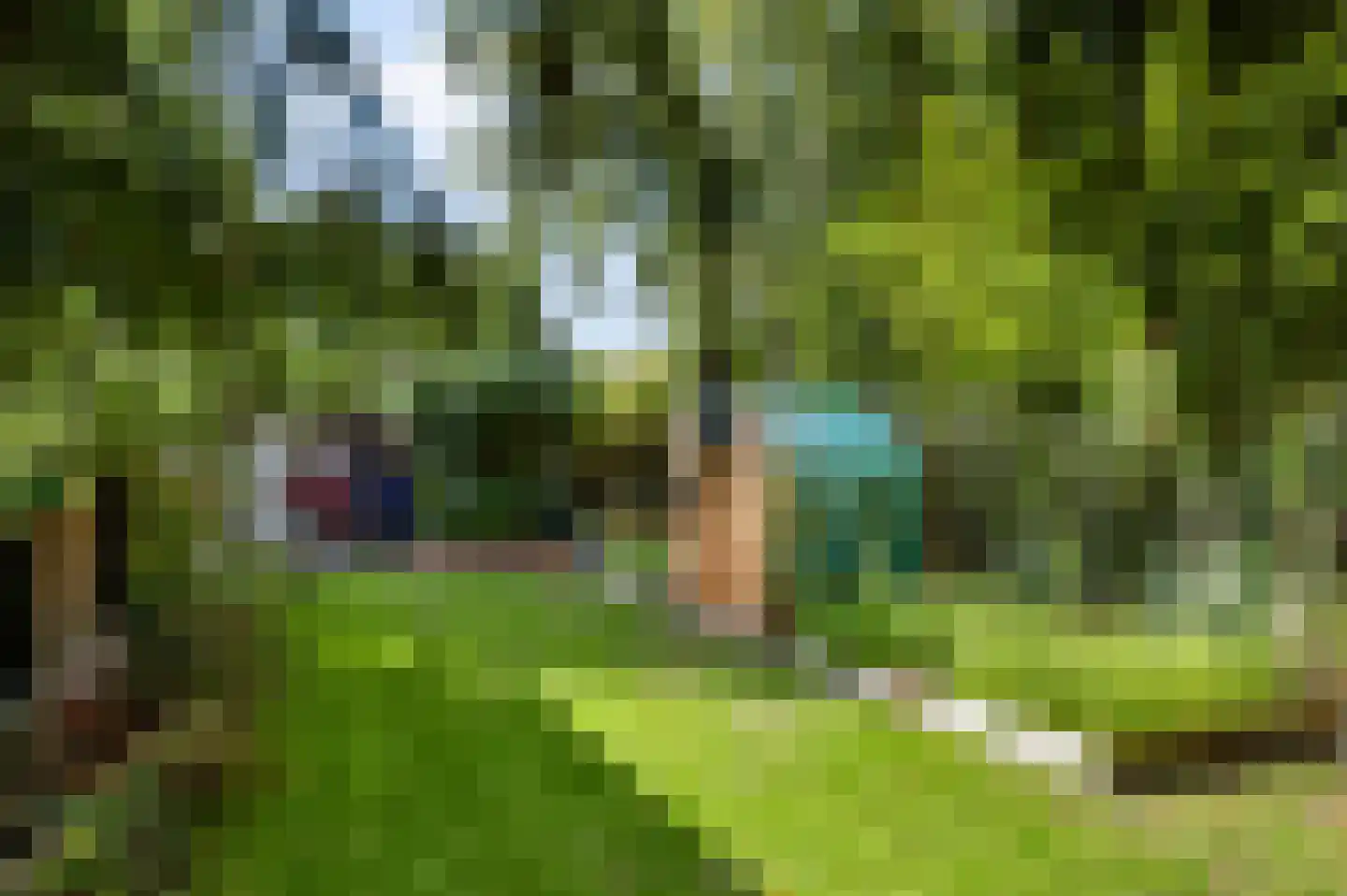 Iemenkorf 29 Emmen thumbnail 44