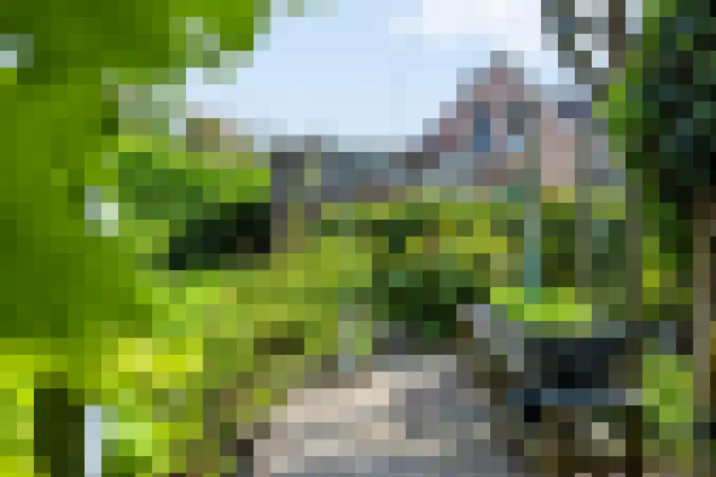 Iemenkorf 29 Emmen thumbnail 45