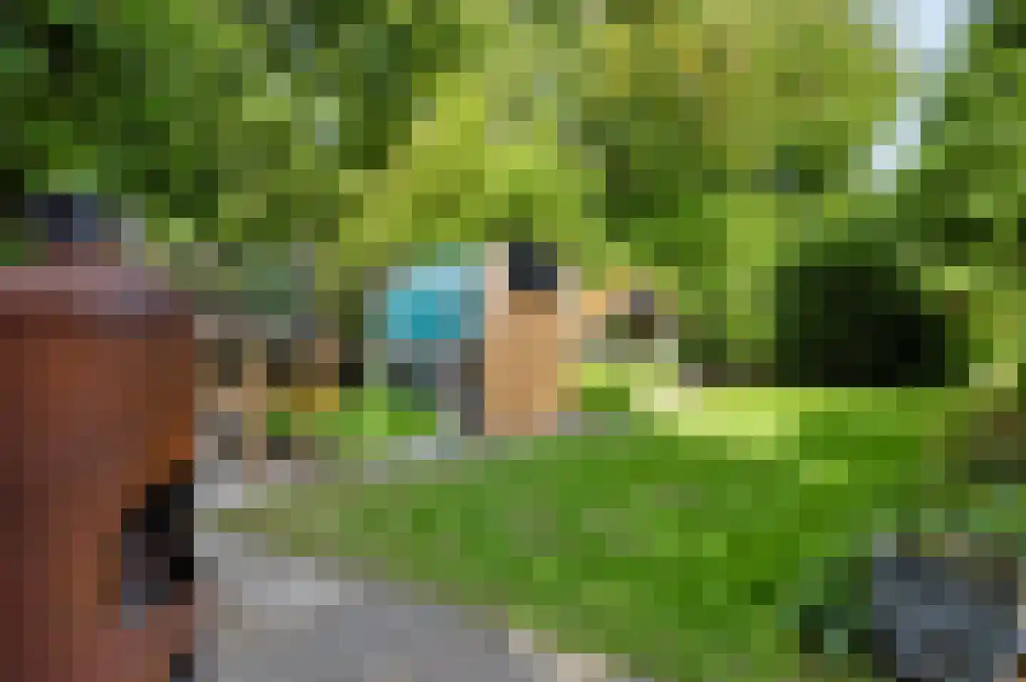 Iemenkorf 29 Emmen thumbnail 46