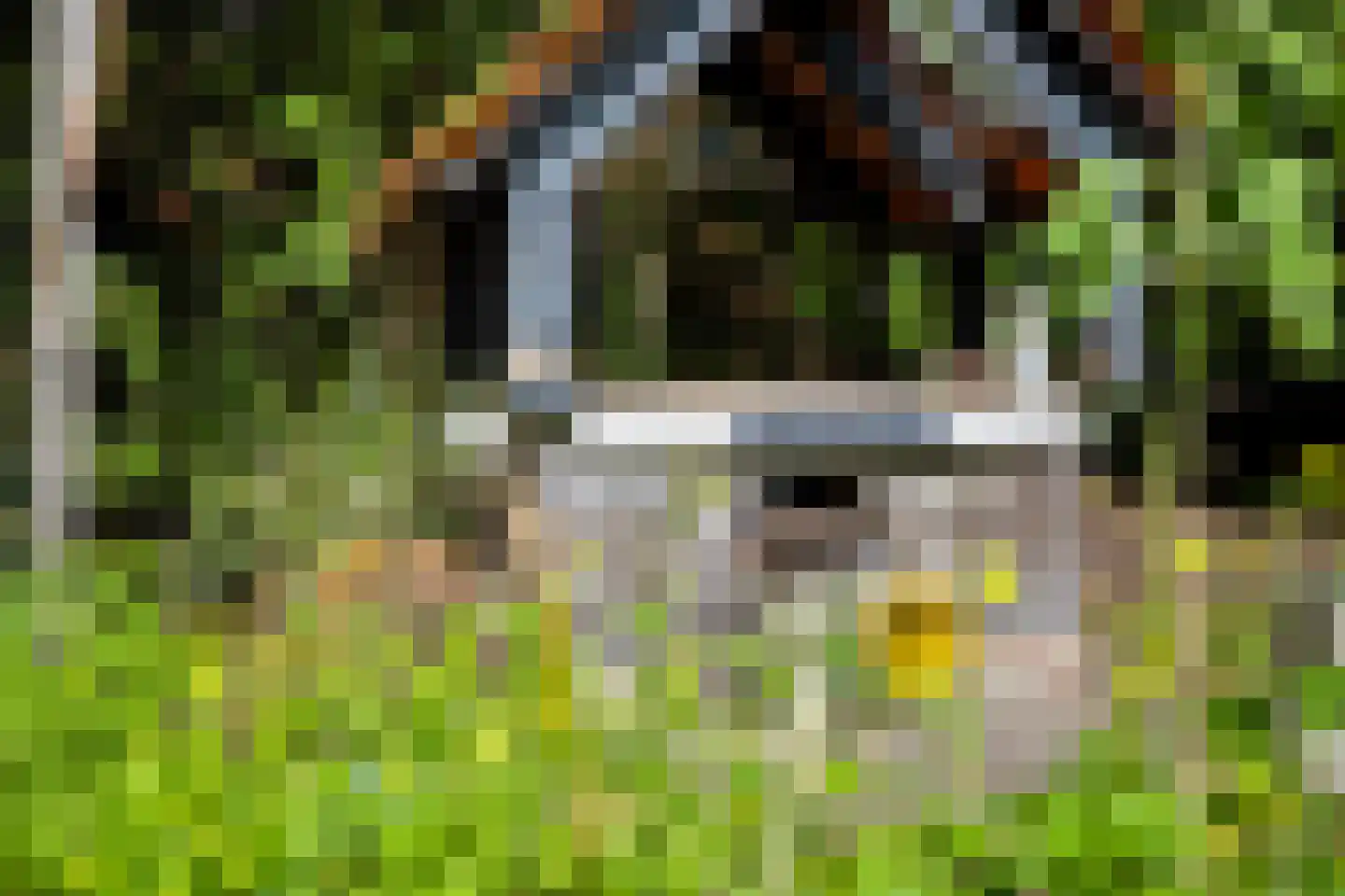 Iemenkorf 29 Emmen thumbnail 47