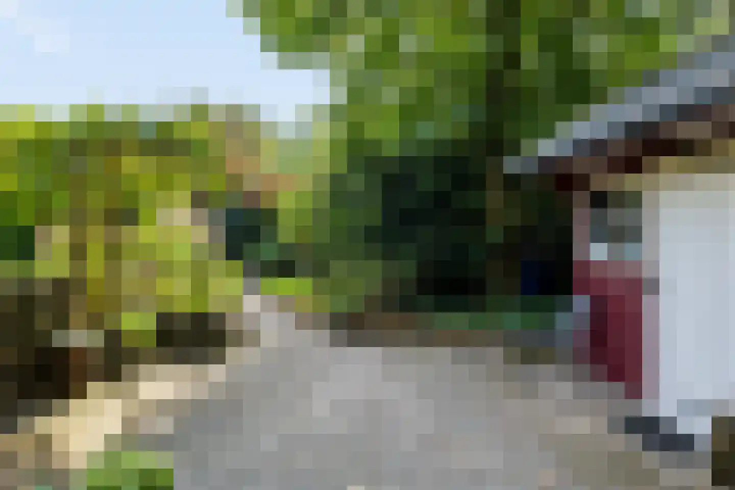 Iemenkorf 29 Emmen thumbnail 49