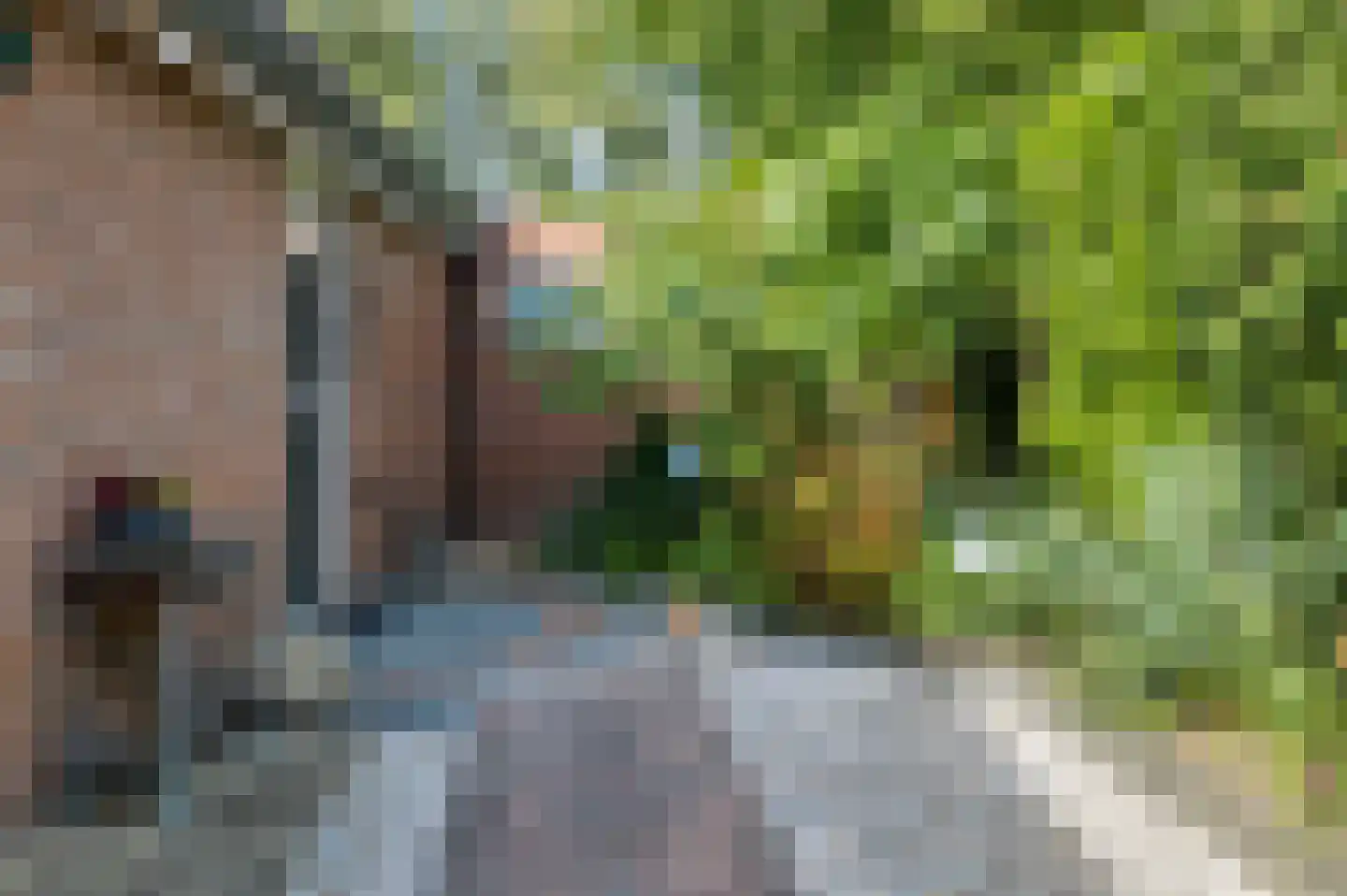 Iemenkorf 29 Emmen thumbnail 53