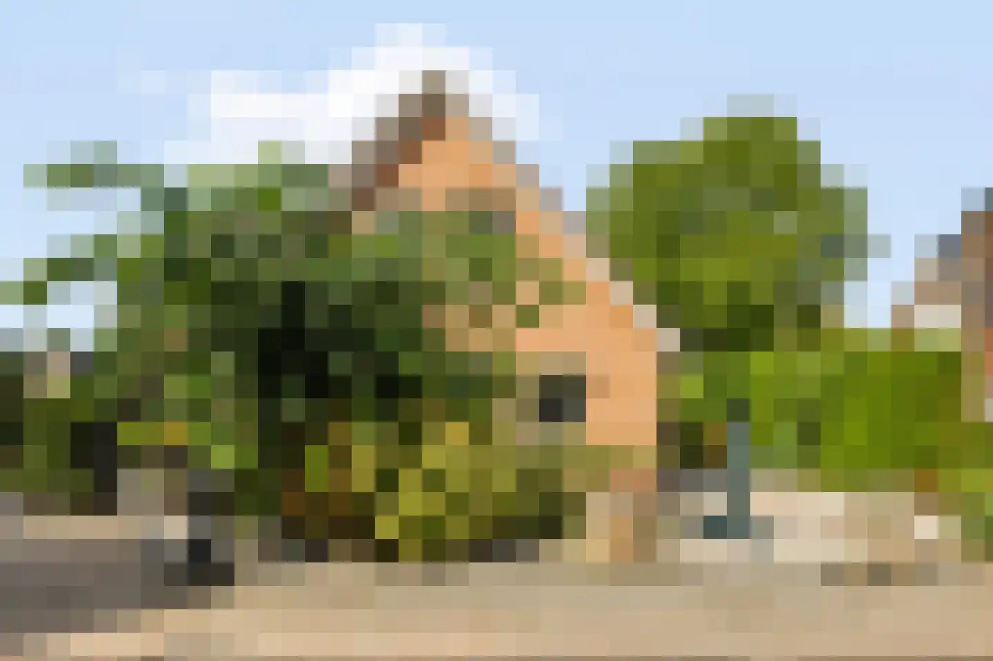 Iemenkorf 29 Emmen thumbnail 54