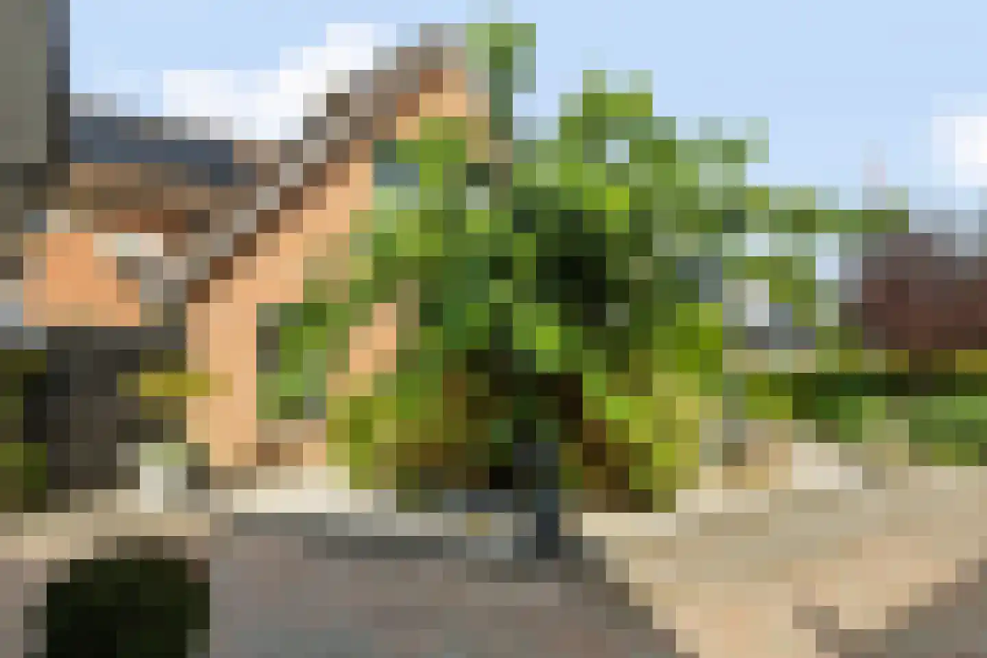 Iemenkorf 29 Emmen thumbnail 55
