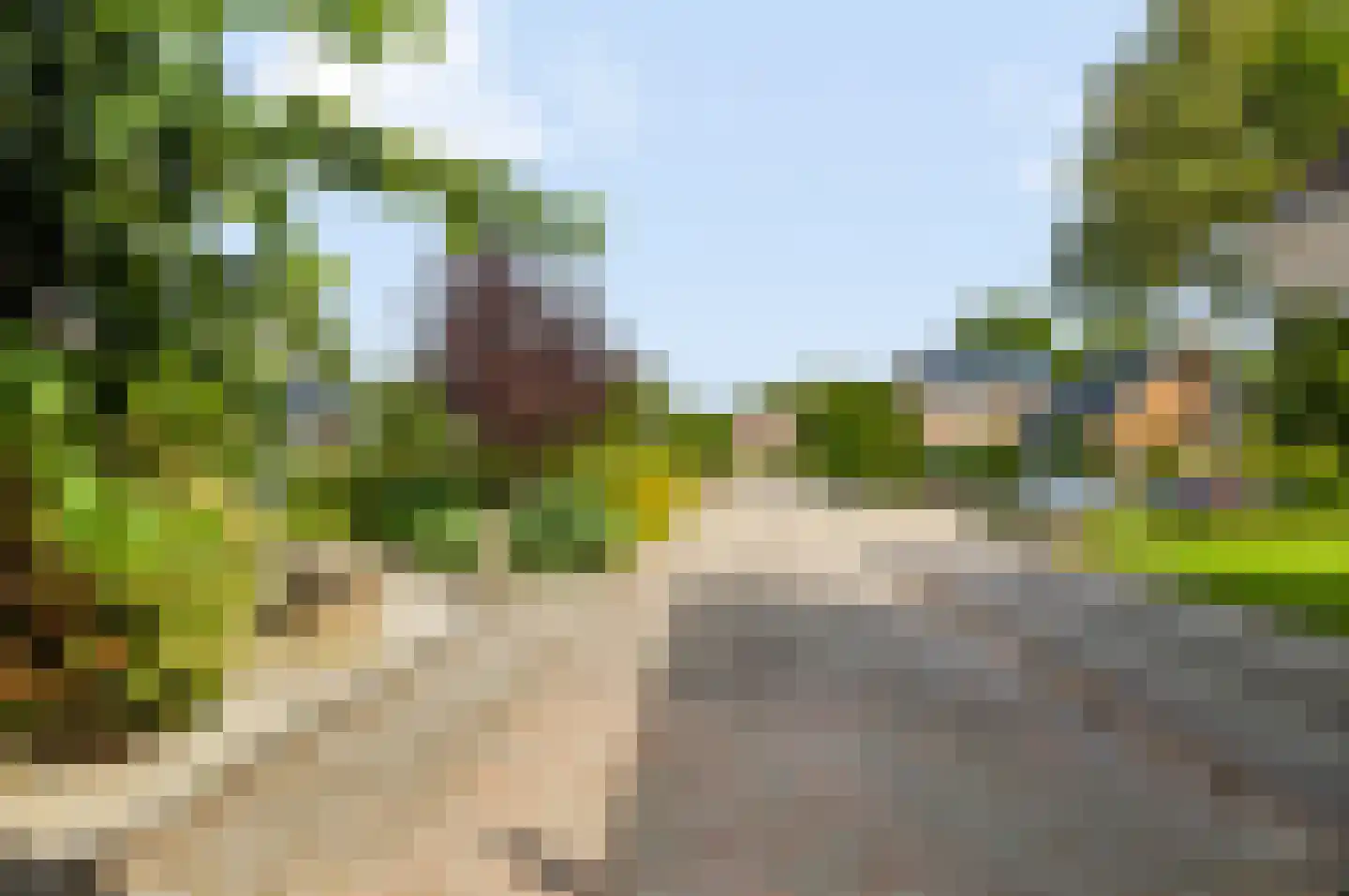 Iemenkorf 29 Emmen thumbnail 56