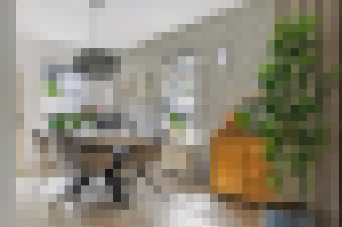 Iemenkorf 29 Emmen thumbnail 6