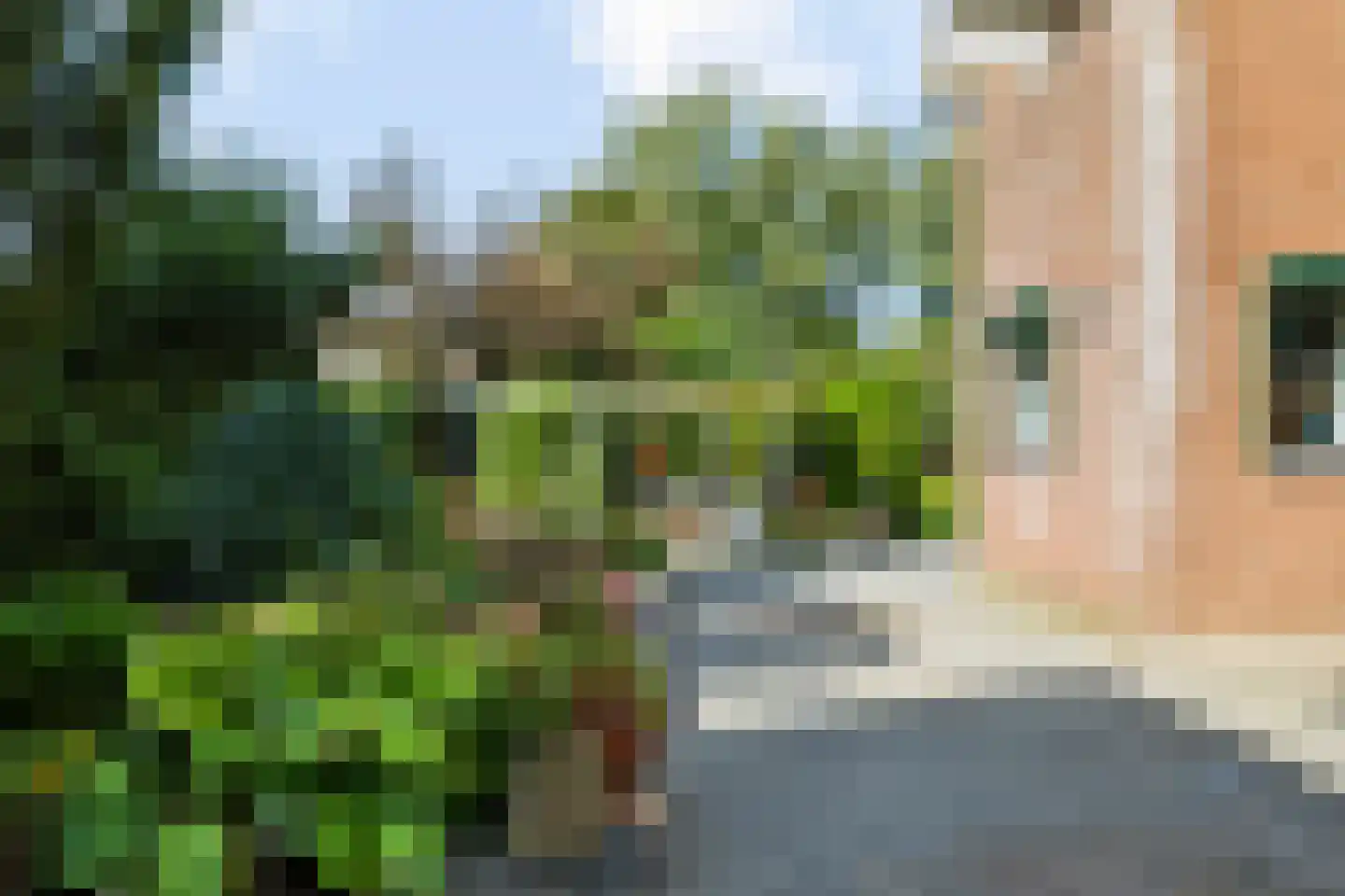 Iemenkorf 29 Emmen thumbnail 60