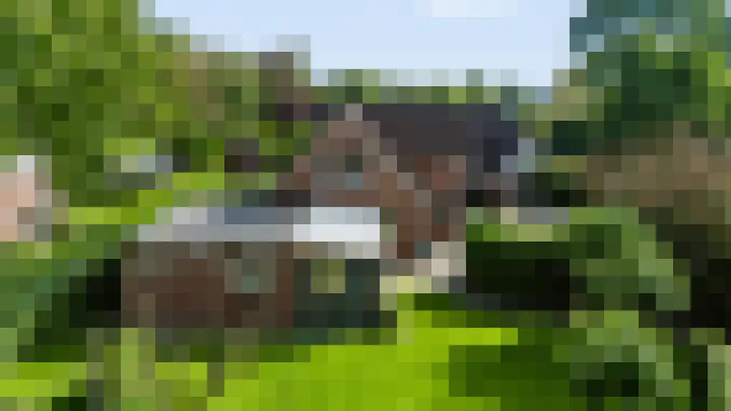 Iemenkorf 29 Emmen thumbnail 61