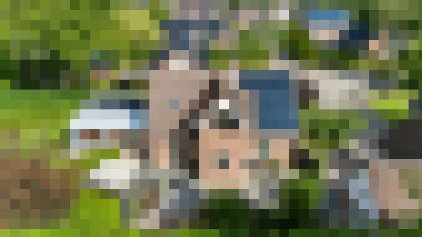 Iemenkorf 29 Emmen thumbnail 63