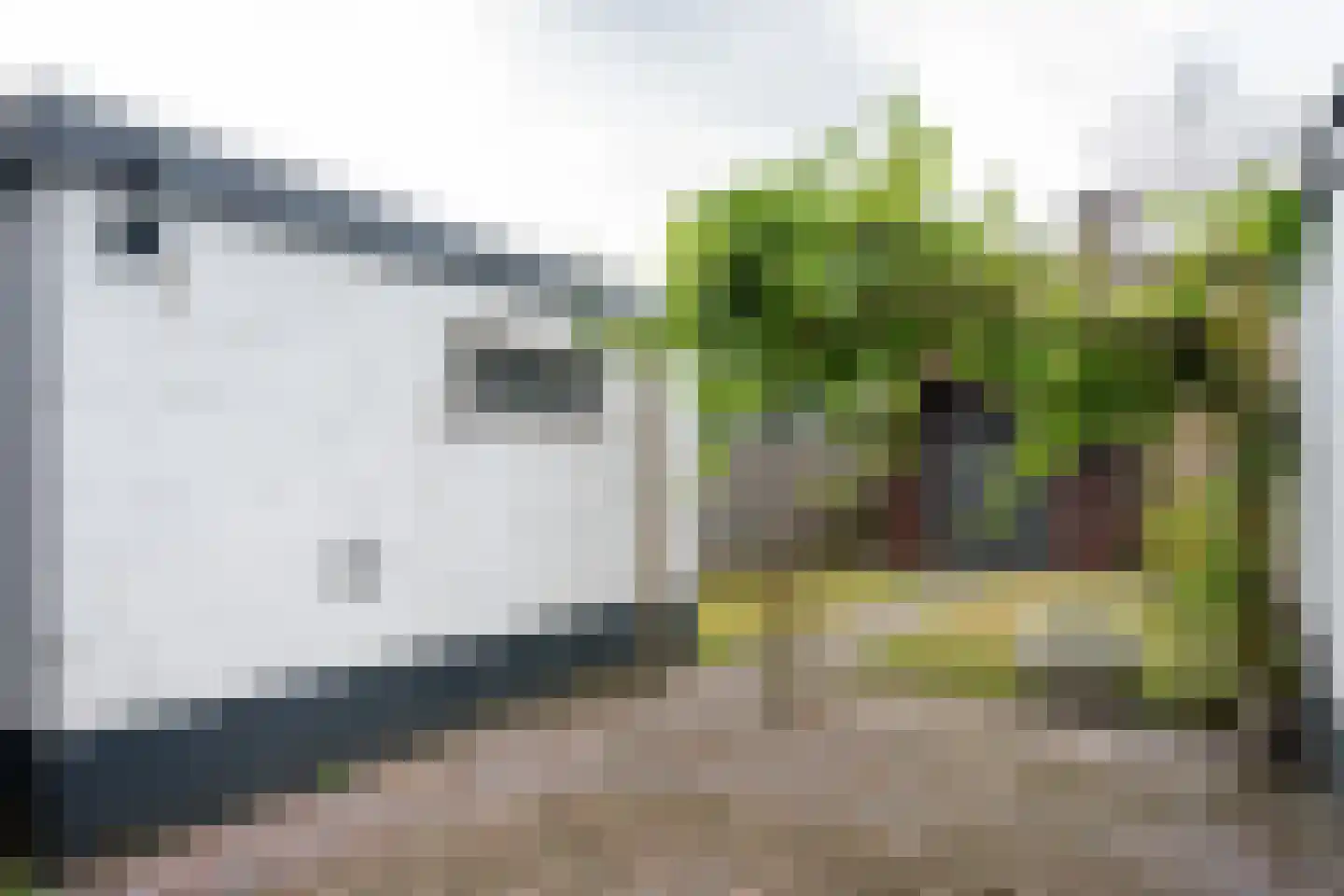 Iemingecamp 32 Emmen thumbnail 30