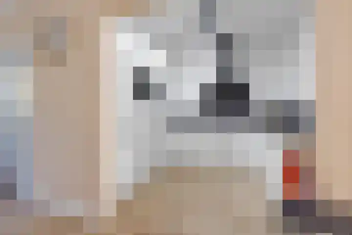 Iemingecamp 4 Emmen thumbnail 12