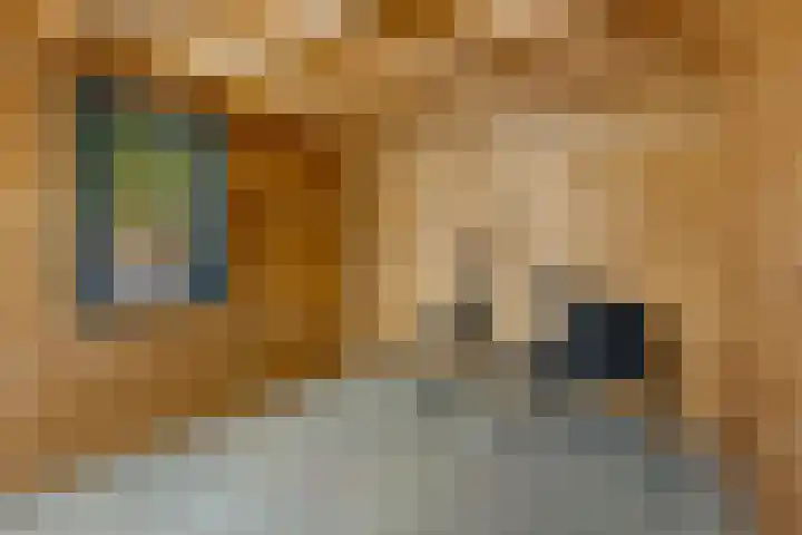 Iemingecamp 4 Emmen thumbnail 35