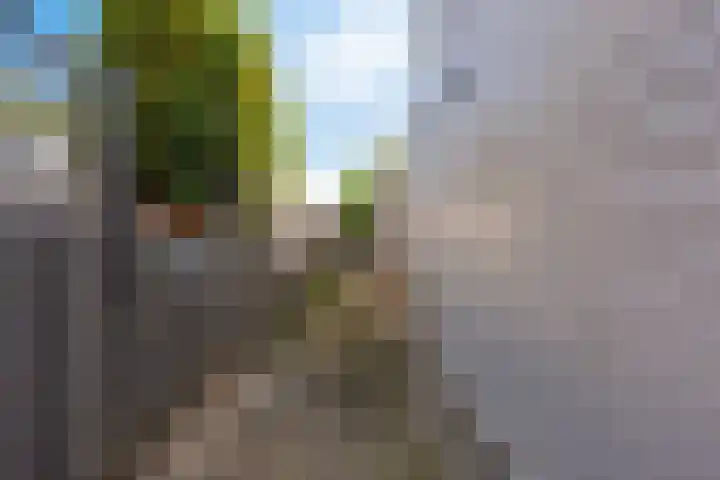Iemingecamp 4 Emmen thumbnail 36