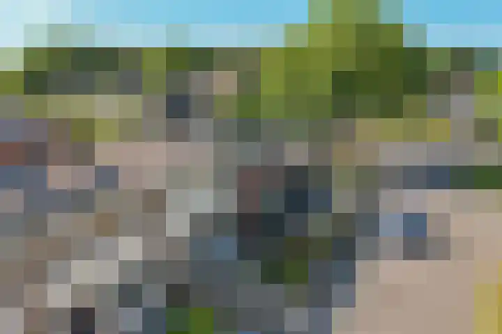 Iemingecamp 4 Emmen thumbnail 38