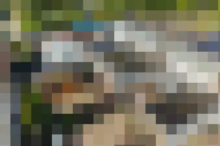 Iemingecamp 4 Emmen thumbnail 39