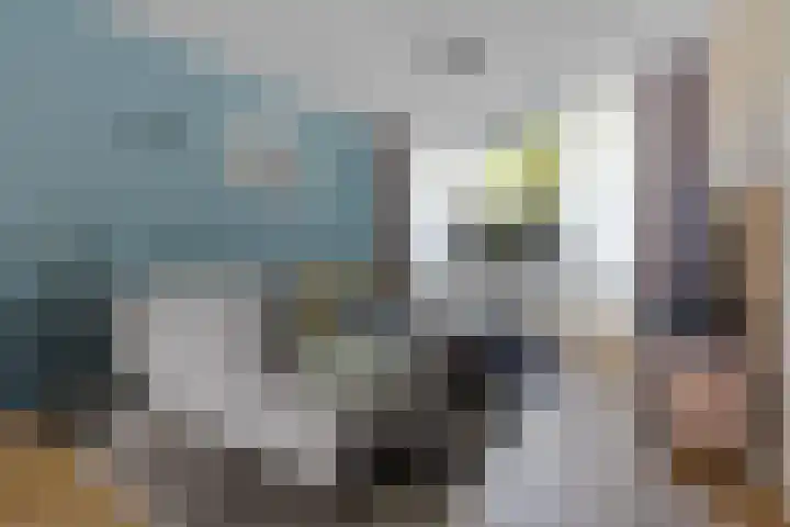 Iemingecamp 4 Emmen thumbnail 8