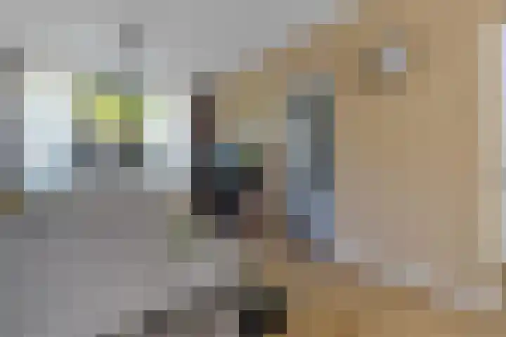 Iemingecamp 4 Emmen thumbnail 9