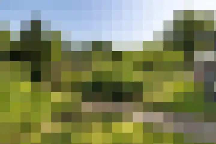 Iemingecamp 5 Emmen thumbnail 10