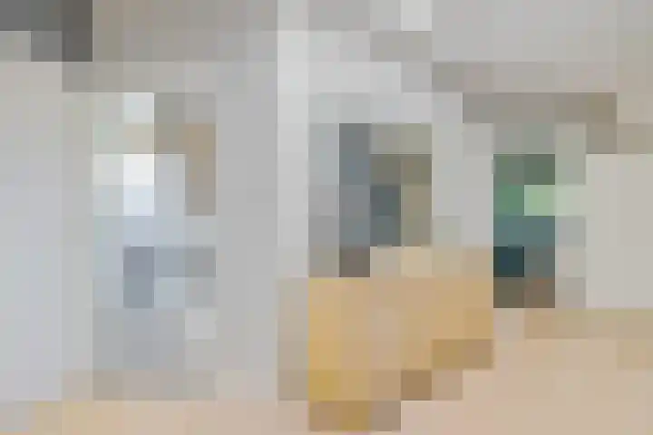 Iemingecamp 5 Emmen thumbnail 12