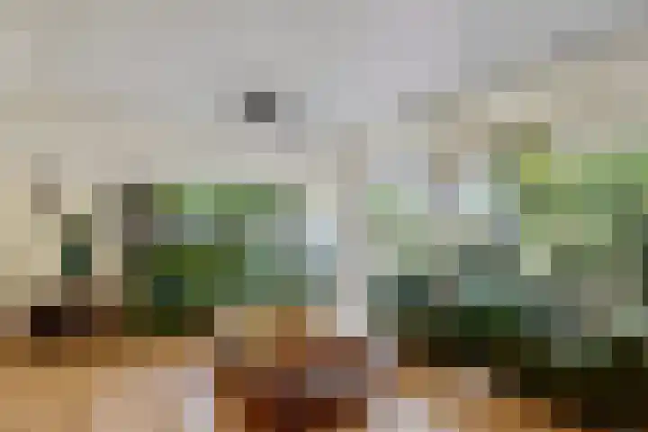 Iemingecamp 5 Emmen thumbnail 16