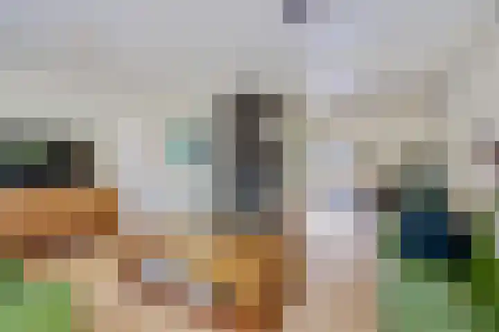 Iemingecamp 5 Emmen thumbnail 18