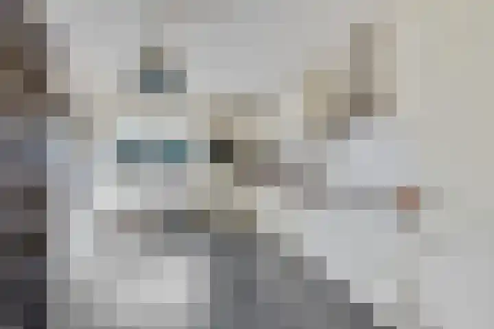 Iemingecamp 5 Emmen thumbnail 21