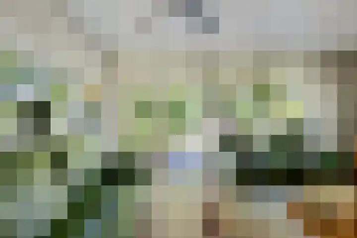 Iemingecamp 5 Emmen thumbnail 24