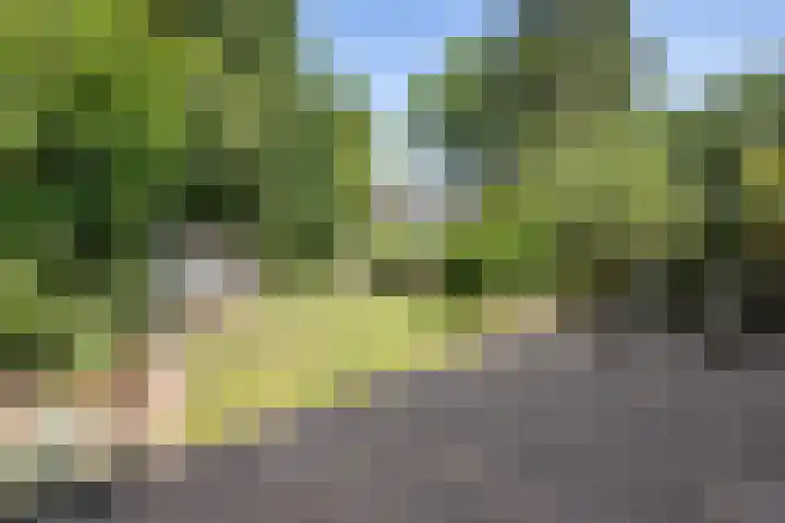 Iemingecamp 5 Emmen thumbnail 34