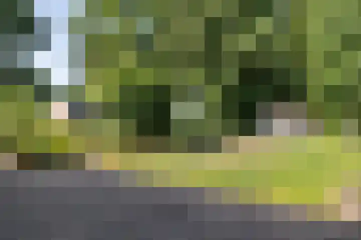 Iemingecamp 5 Emmen thumbnail 35
