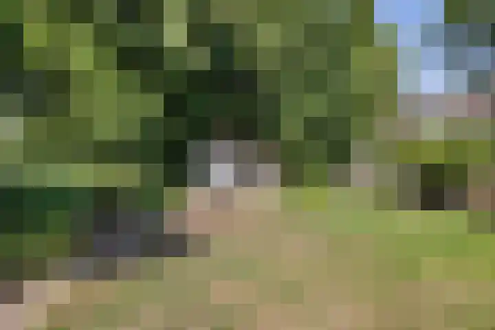 Iemingecamp 5 Emmen thumbnail 36