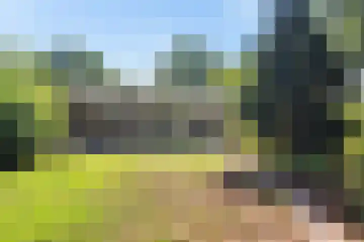 Iemingecamp 5 Emmen thumbnail 37