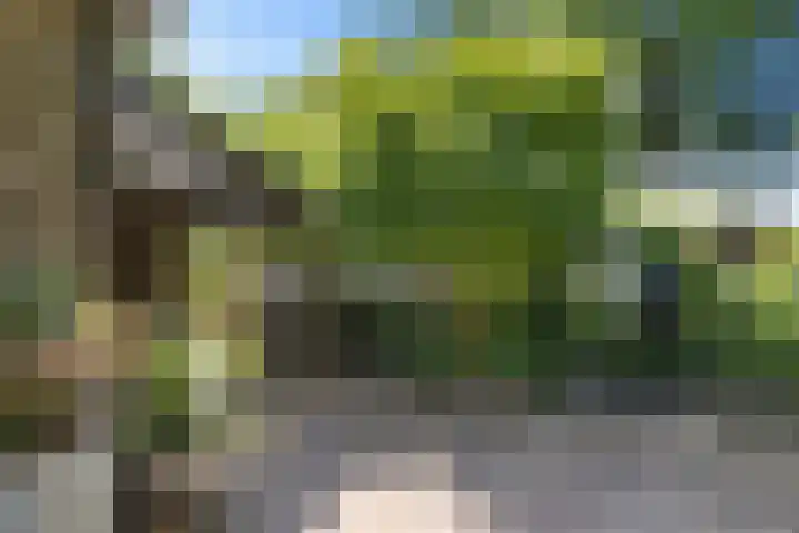 Iemingecamp 5 Emmen thumbnail 38