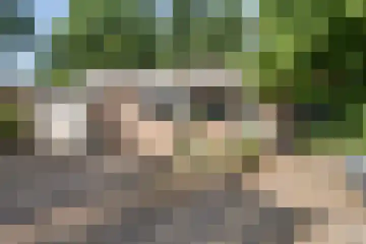 Iemingecamp 5 Emmen thumbnail 4